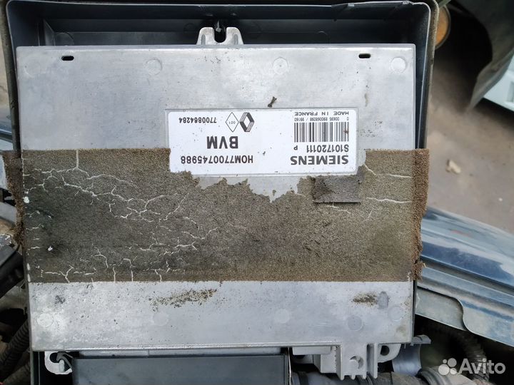 Мозги эбу Рено Сафран Шафран