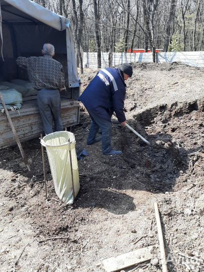 Конский навоз