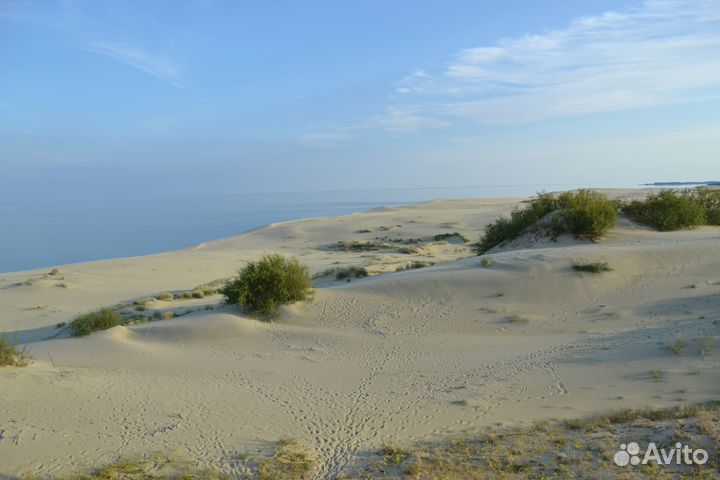 Экскурсия на Куршскую косу и в Зеленоградск