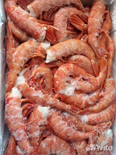 Лангустины С1. L1. Креветки в ассортименте