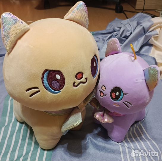 Семья котиков