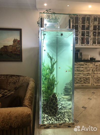 Аквариум