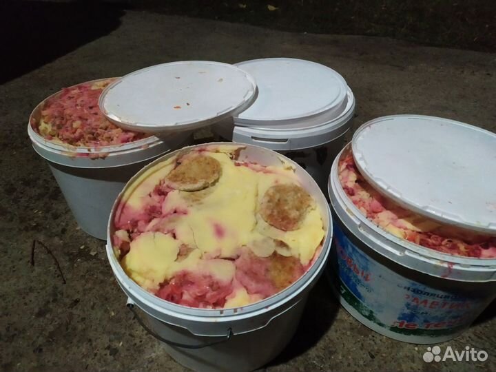 Пищевые отходы для животных