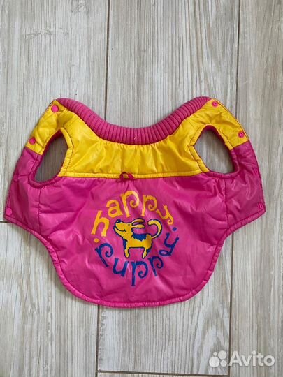 Костюм для собаки