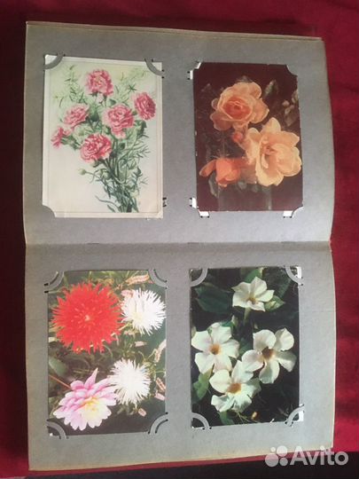 Открытки СССР