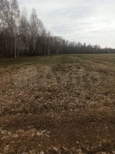 Участок 40 сот. (ИЖС)