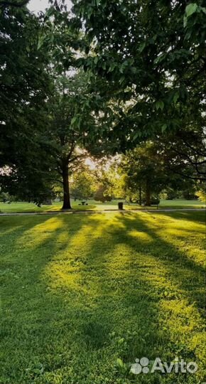 Таро расклад Обучение курсы