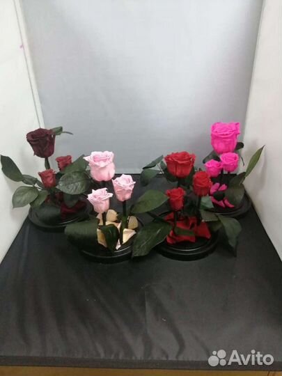 Роза в колбе оптом и в розницу