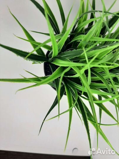 Фотобокс для маникюра