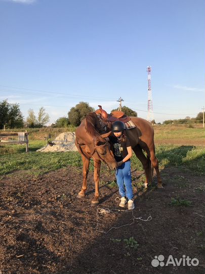 Конные прогулки