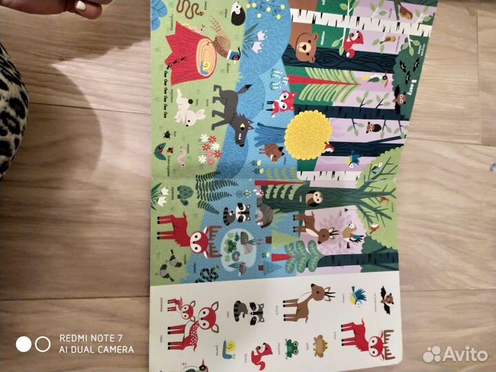 Первая энциклопедия животных clever найди и покажи