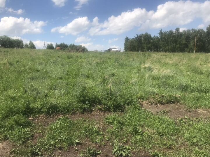 Участок 10 сот. (СНТ, ДНП)