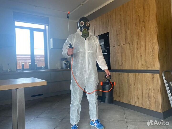 Дезинфекция в квартире уничтожение тараканов клеще