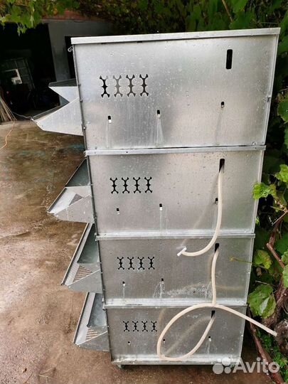 Клетка для перепелов бу