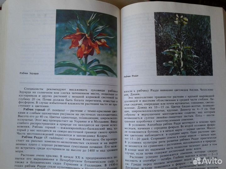 Редкие животные и растения