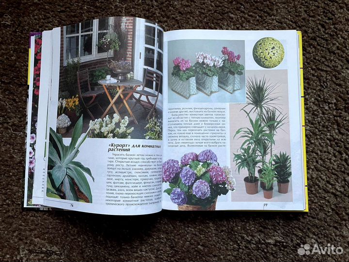 Книжка про растения. Цветы на балконе