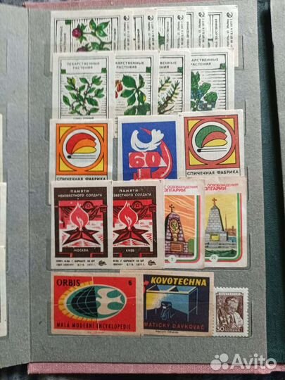 Коллеционная этикетка