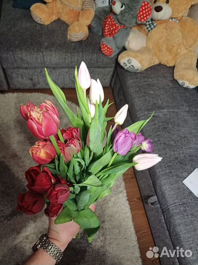 Тюльпаны к 8 марта