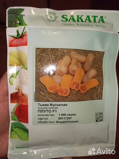 Тыква Плуто семена