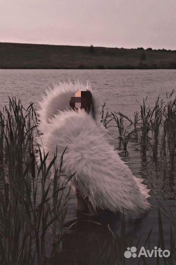 Крылья аренда