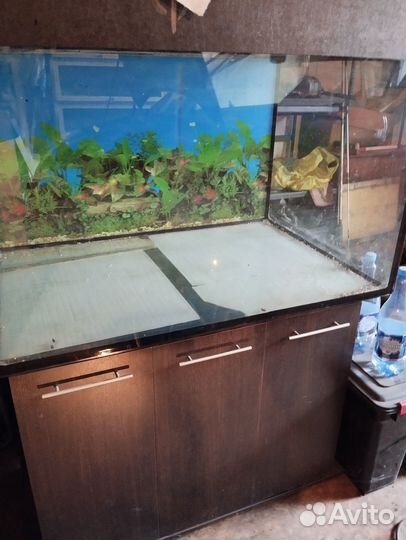 Аквариум