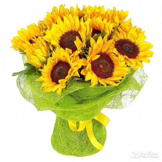 Подсолнух. Гелиантус. Цветы. Букеты. Доставка