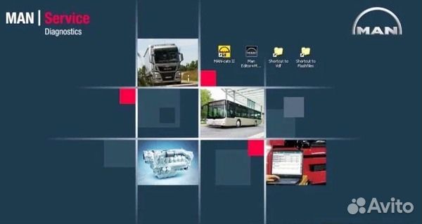 Man Cats II версия 2022