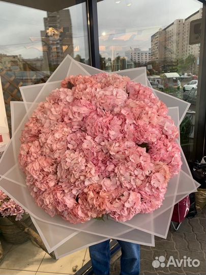 Букет из Голландских гортензий 35шт