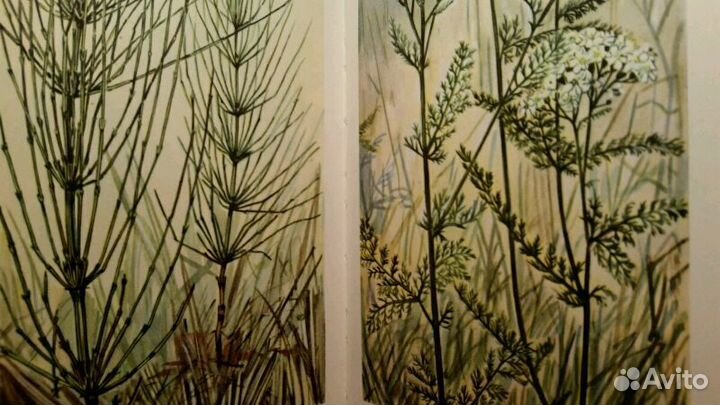 Книги разной тематики на немецком языке