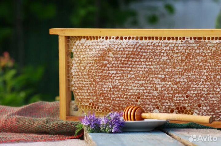 Майский натуральный мёд в сотах