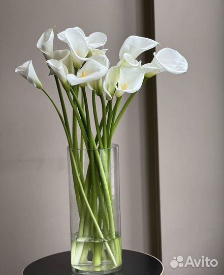 Живые Цветы Каллы Подарок Букет С Доставкой