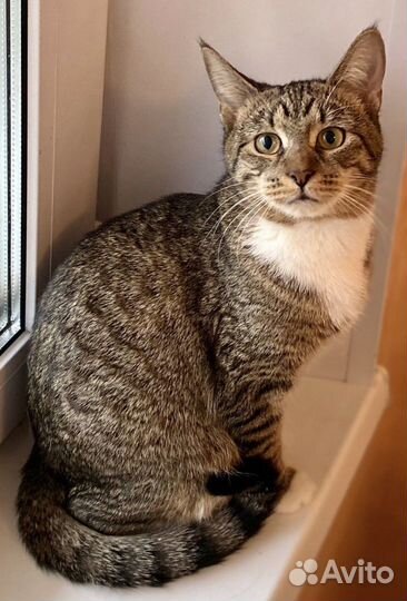 Чудесная малышка из приюта ищет маму