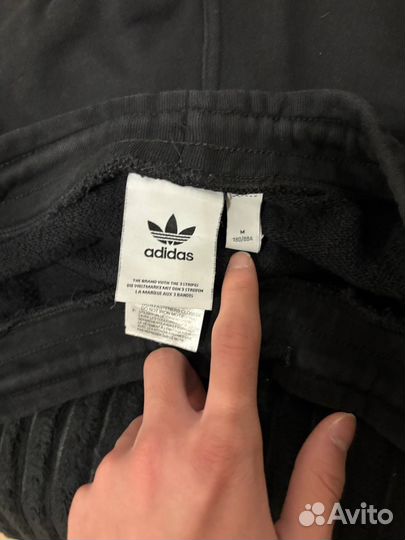 Шорты adidas originals