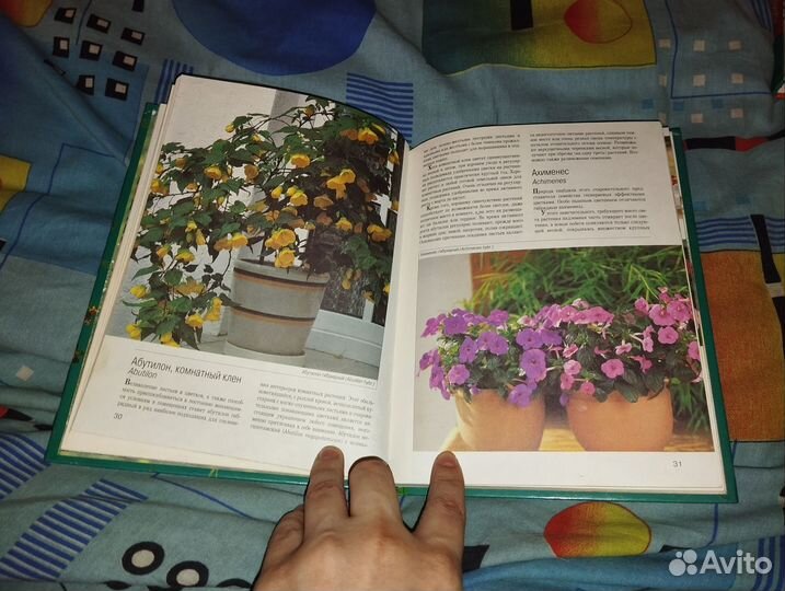 Мини энциклопедия по комнатным растениям