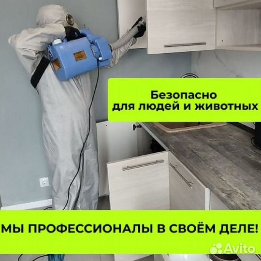 Уничтожение клопов, тараканов, кротов. Дезинфекция