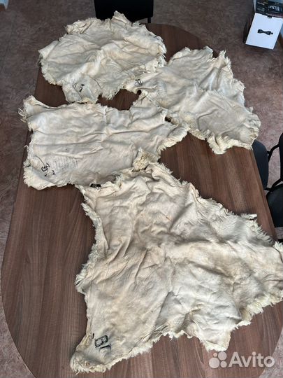 Овечья шкура натуральная