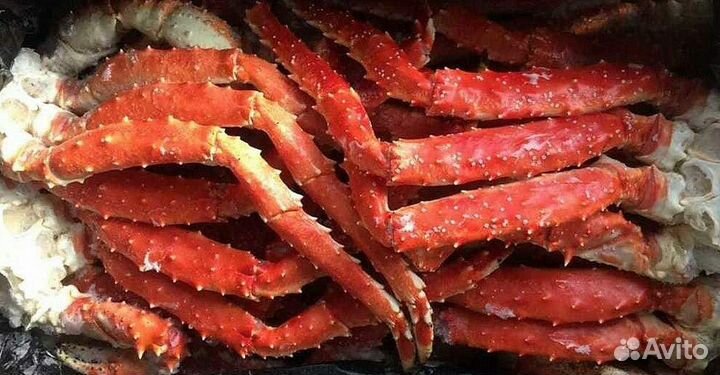 Клешни камчатского краба