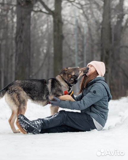 Обнимательный Акелла ищет дом