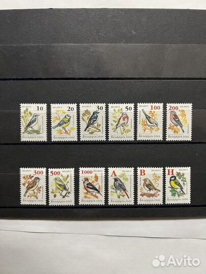 2006 г. Беларусь. Стандарт. Простая бумага