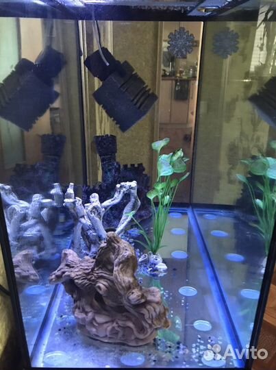 Аквариум