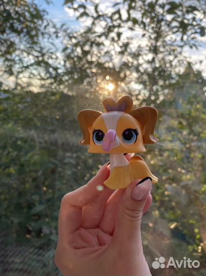 Littlest pet shop