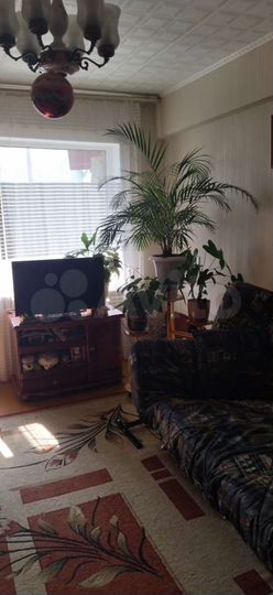 3-к. квартира, 48,1 м², 4/5 эт.