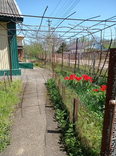 Дом 50,1 м² на участке 11 сот.