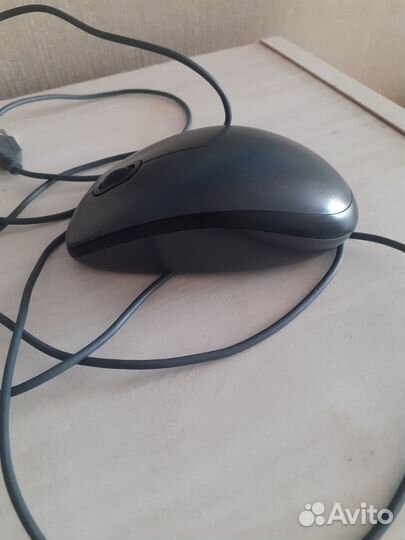 Мышка для компьютера