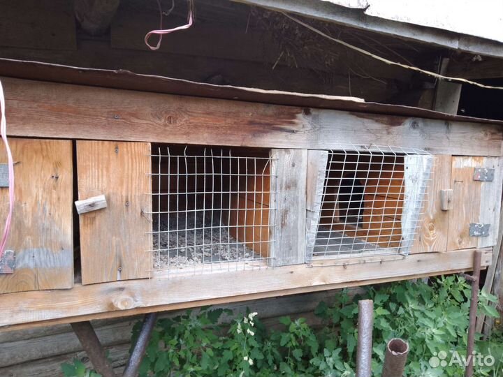 Клетки для кроликов бу