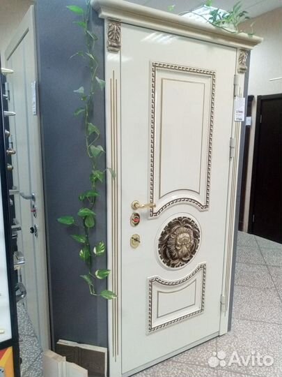 Входные двери 