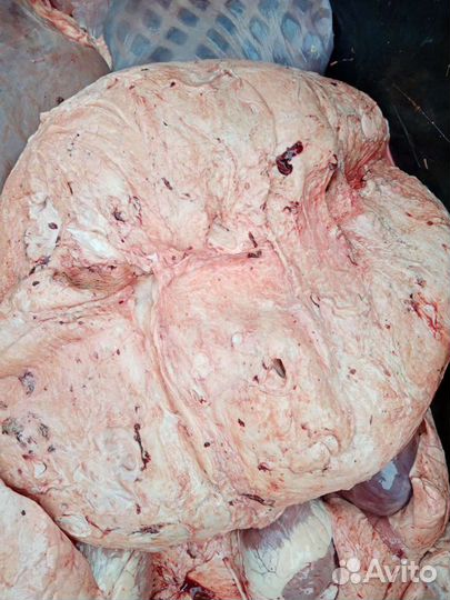 Мясо для собак