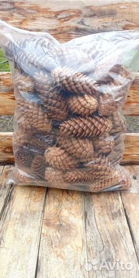 Еловые шишки