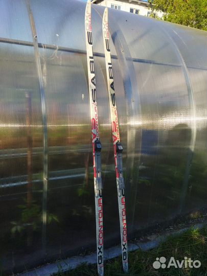 Беговые лыжи