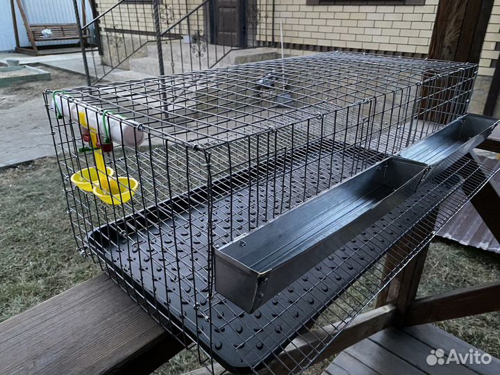 Клетки для перепелов